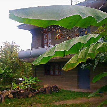 Farmer'S Guest House Telavi Exteriér fotografie