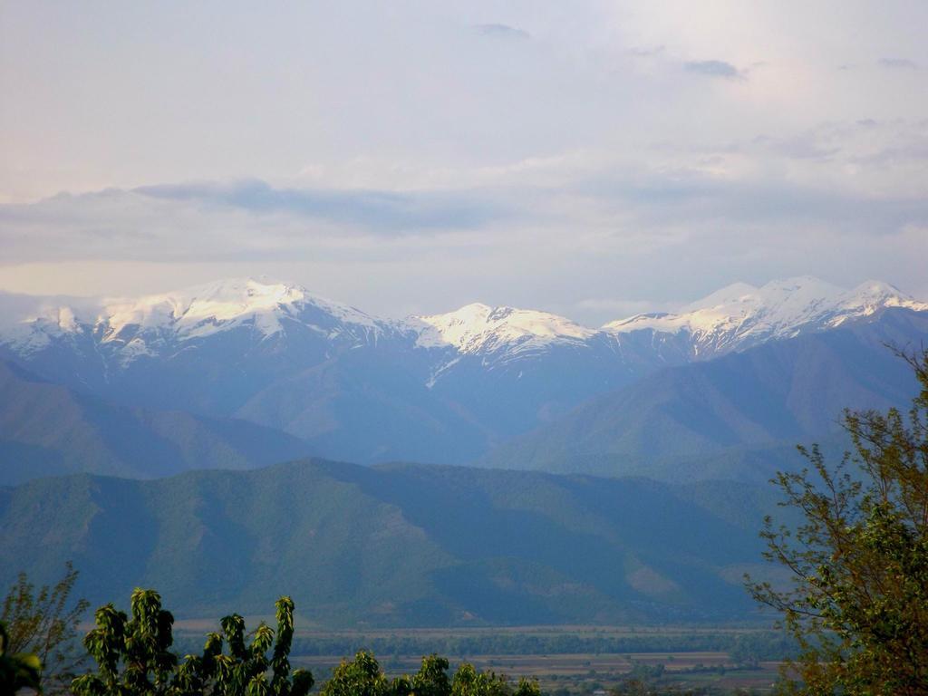 Farmer'S Guest House Telavi Exteriér fotografie