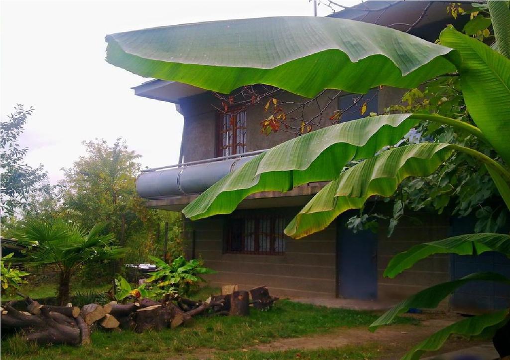 Farmer'S Guest House Telavi Exteriér fotografie
